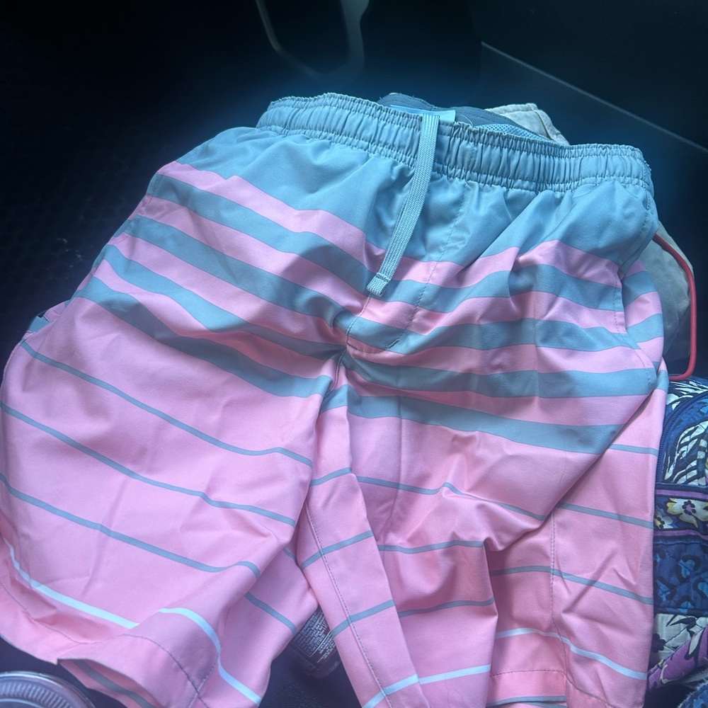 Pink and gray Striped Shorts